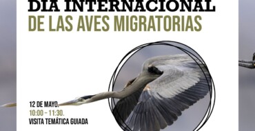El Clot de Galvany organiza una visita temática guiada por el Día Internacional de Aves Migratorias