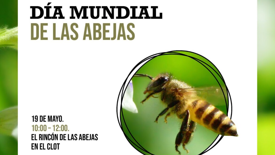 El Clot de Galvany organiza una visita temática guiada por el Día Mundial de las Abejas