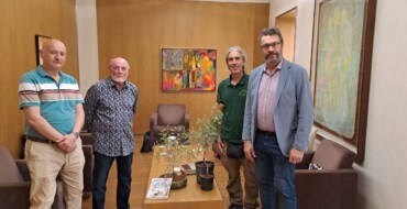 Elche dona plantones de chopo ilicitano al Real Jardín Botánico de Madrid