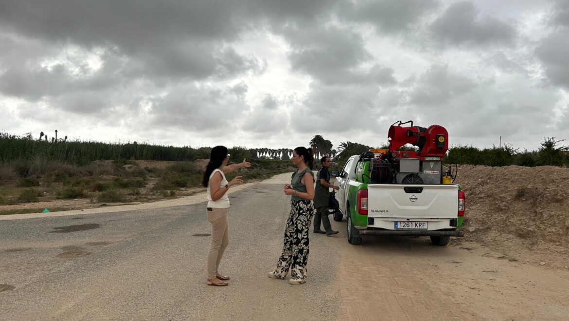 Elx posa en marxa un pla de xoc per a acabar amb la proliferació de mosquits