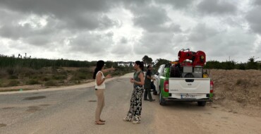 Elx posa en marxa un pla de xoc per a acabar amb la proliferació de mosquits