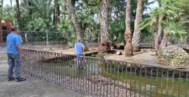 Las brigadas municipales realizan el vaciado y limpieza del estanque de patos del parque