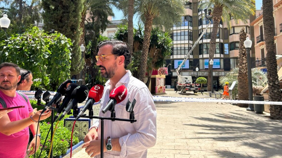 El Ayuntamiento intensificará el control de todas las palmeras de la vía pública