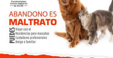 El Ayuntamiento lanza una campaña estival contra el abandono de los animales