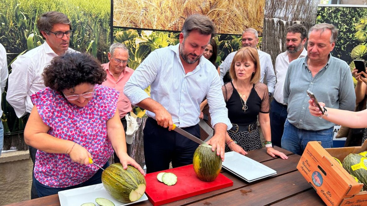 La producció de meló de Carrissars augmenta enguany fins als 400.000 quilos