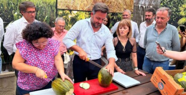 La producción de melón de Carrizales aumenta este año hasta los 400.000 kilos