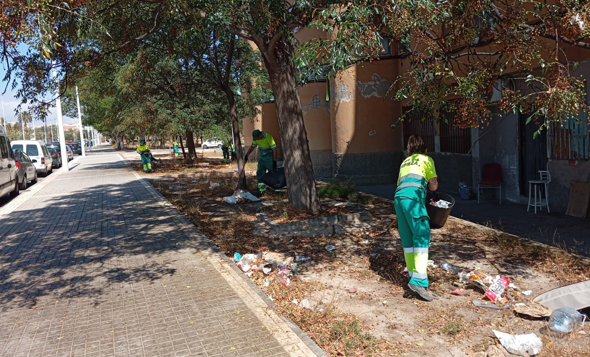 Limpieza en Palmerales