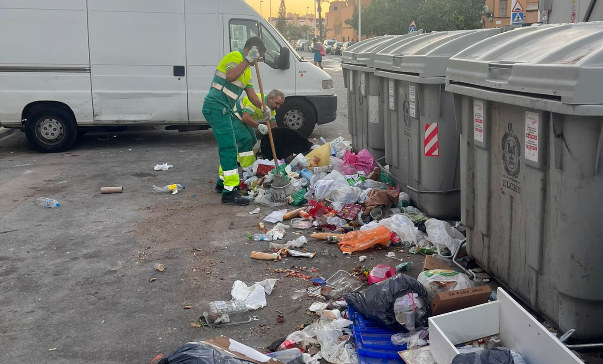 Limpieza en Palmerales (2)