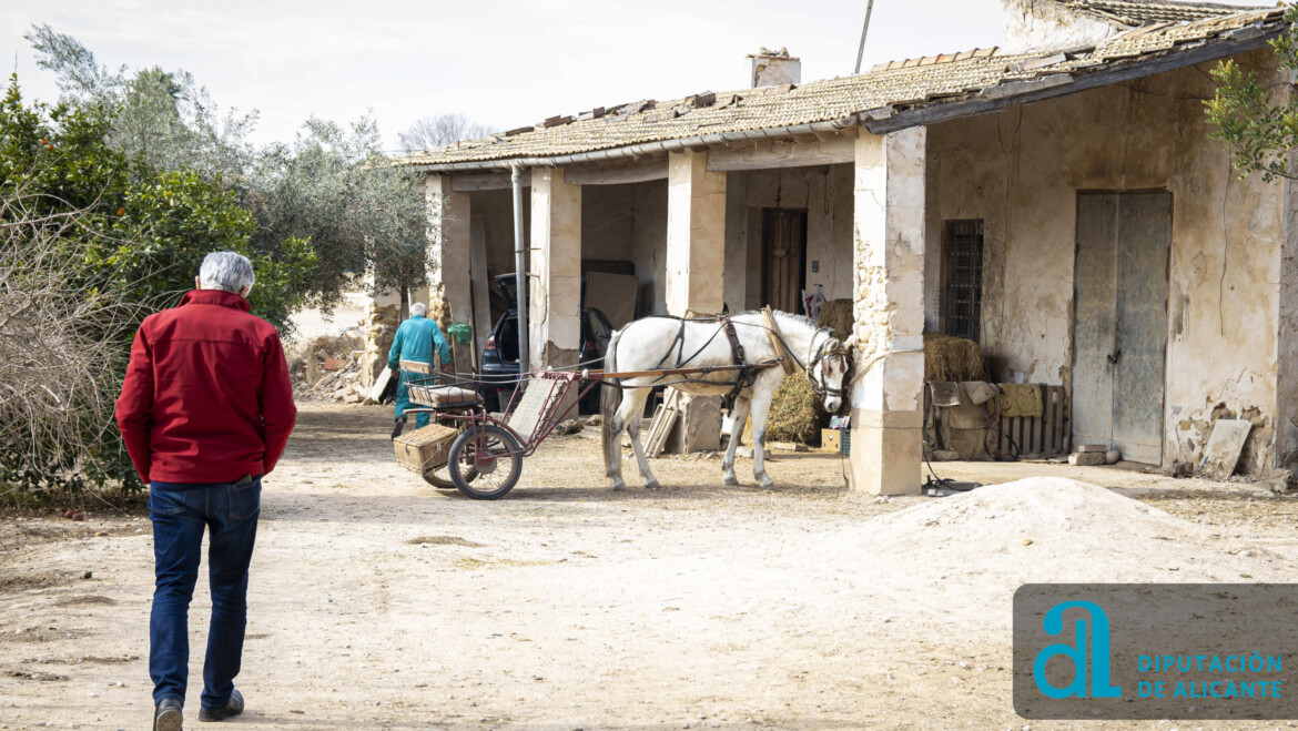 La Diputació subvenciona un nou projecte sobre memòria oral del Camp d’Elx