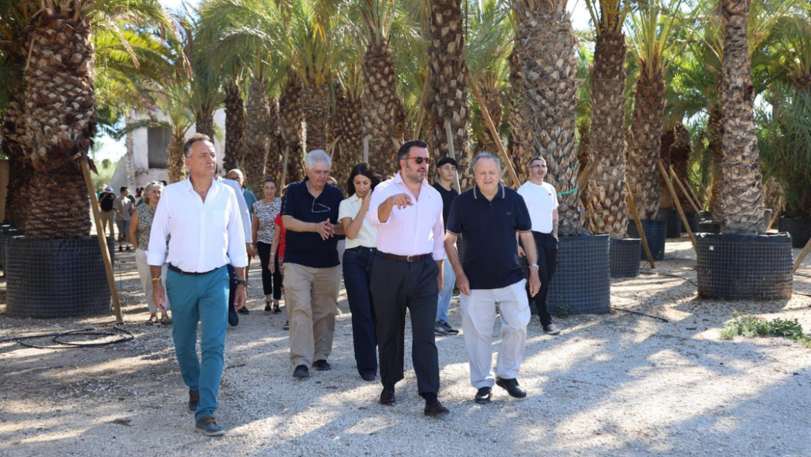 El Ayuntamiento apuesta por mejorar la producción y calidad del dátil con el uso de agua regenerada para el riego