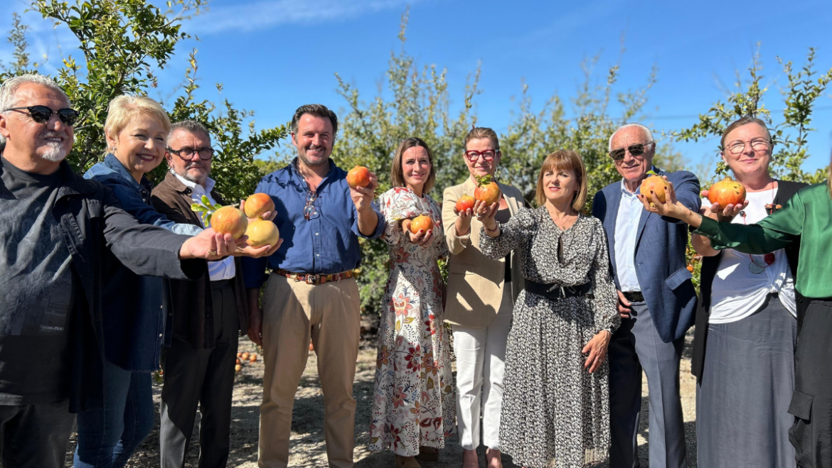 Comienza la temporada de granada mollar de Elche con el primer corte realizado por la chef Begoña Rodrigo