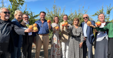 Comienza la temporada de granada mollar de Elche con el primer corte realizado por la chef Begoña Rodrigo