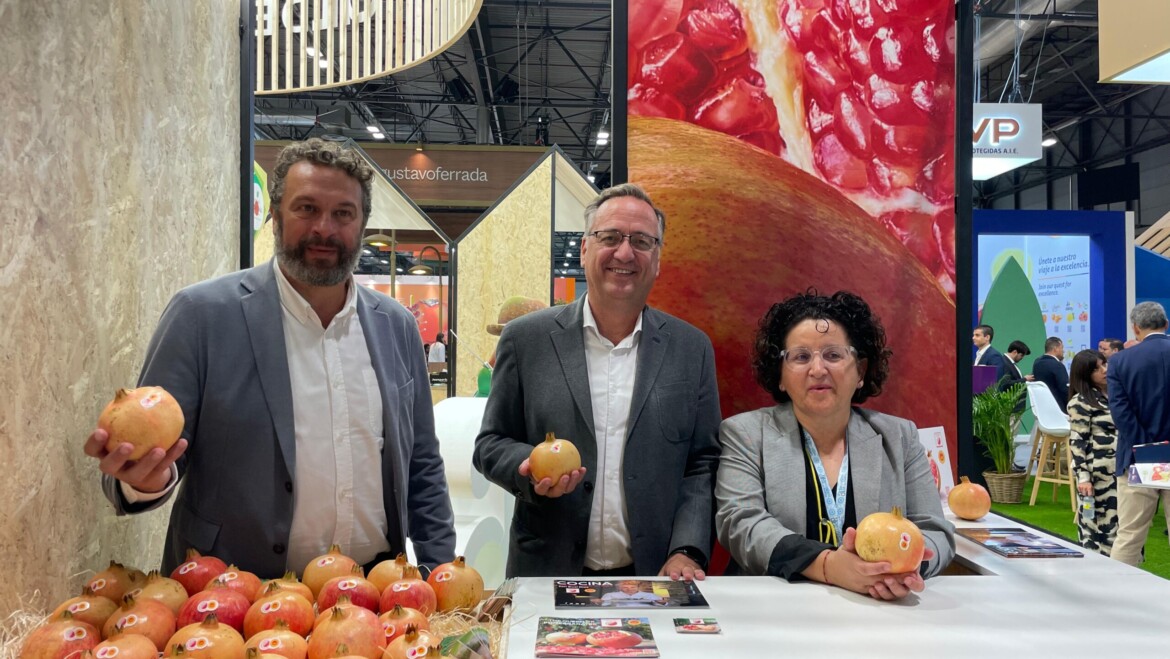El Ayuntamiento apoya a las empresas hortofrutícolas ilicitanas en la Fruit Attraction 2024