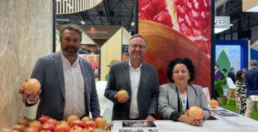 El Ayuntamiento apoya a las empresas hortofrutícolas ilicitanas en la Fruit Attraction 2024