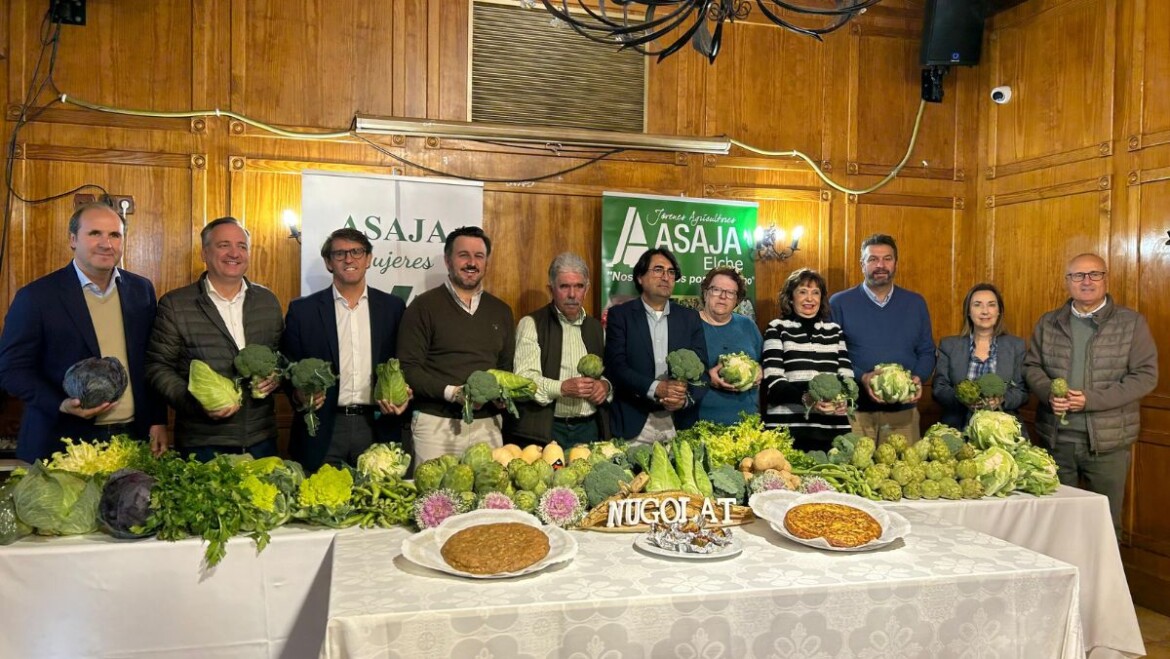 Comienza la campaña de hortalizas de invierno del Camp d’Elx con una producción de 22.500 tonelada