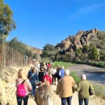 WhatsApp Image 2025-01-16 at 08.51.55 (5)