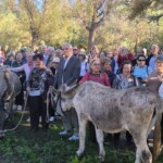 WhatsApp Image 2025-01-16 at 08.51.56 (2)