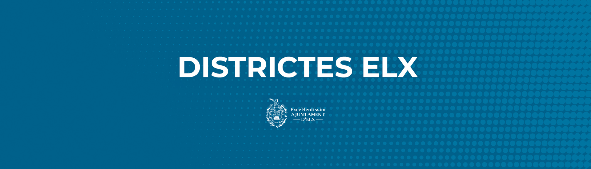 districtes-elx-cabecera