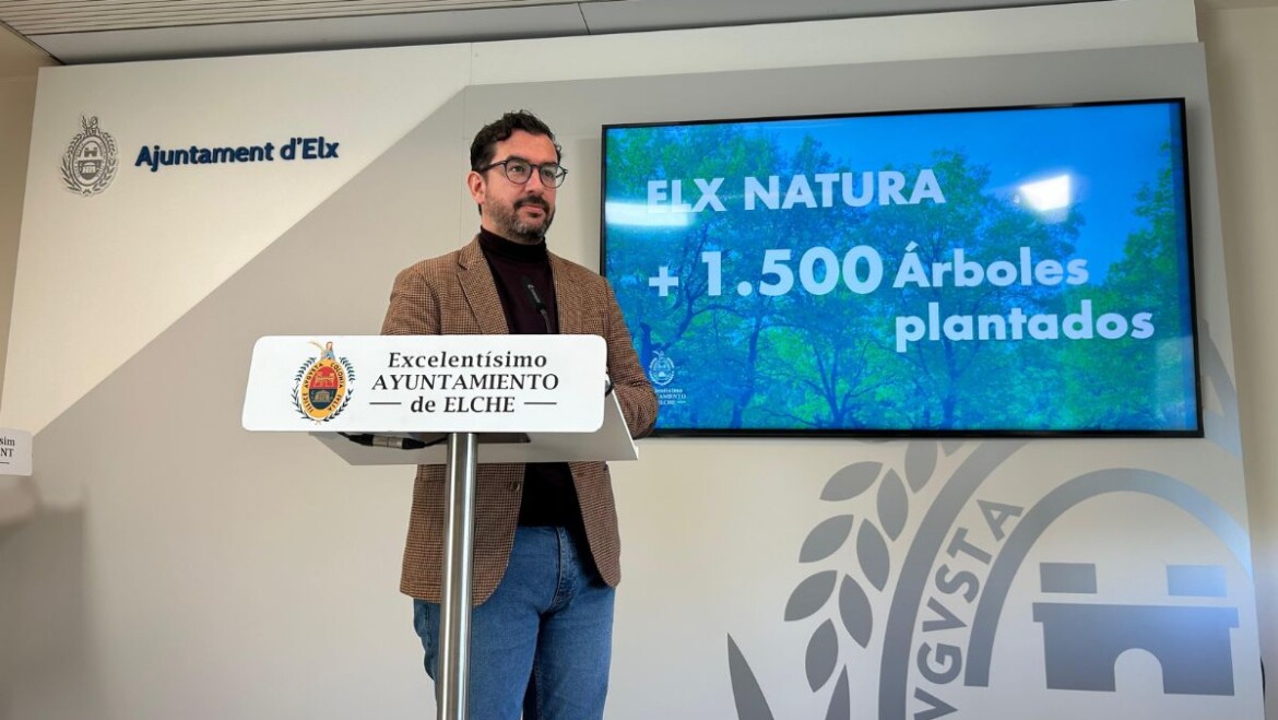 L’Ajuntament plantarà 200 nous arbres a Carrús a través del Pla Elx Natura