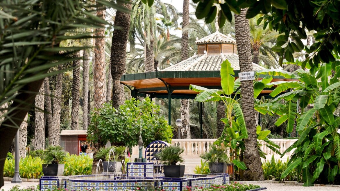 Elche celebra un Fam trip con agencias organizadoras de eventos de Países Bajos