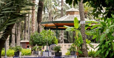 Elche dedicará una palmera en el parque municipal a la ciudad de Castellón