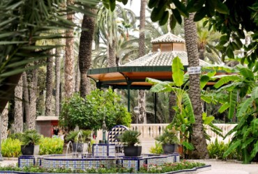 Elche obtiene la distinción ‘Ciudad de la Ciencia y la Innovación’