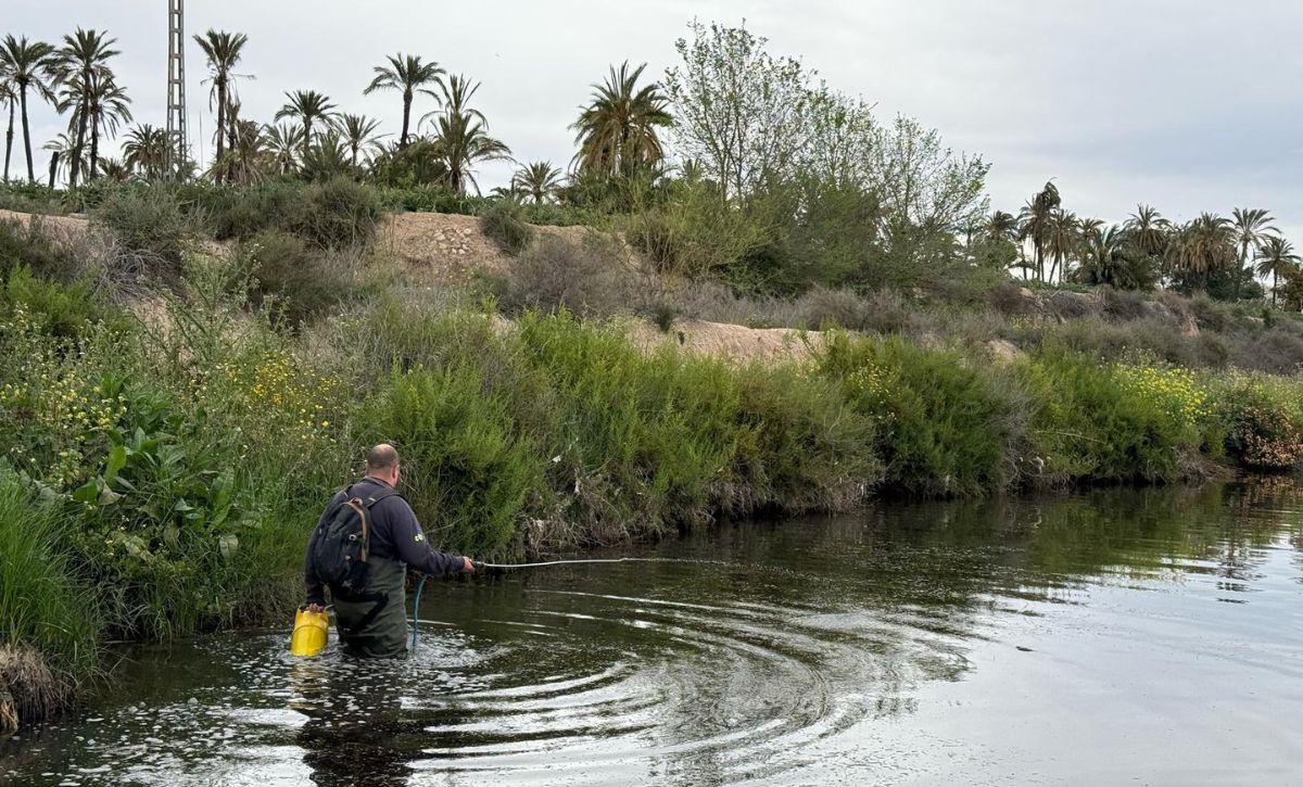 Campaña de fumigación contra mosquitos (3)