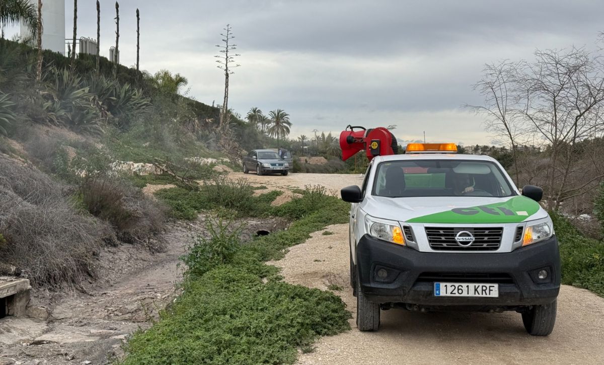 Campaña de fumigación contra mosquitos (5)