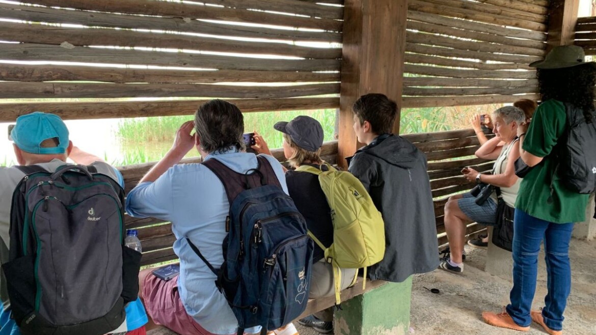 Elx mostra els seus atractius naturals i la gastronomia tradicional a periodistes alemanys