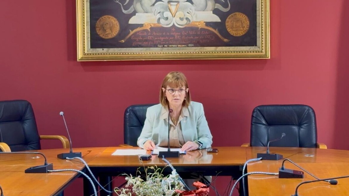 Elche acoge la IV edición de la Escuela de Verano Sénior todo el mes de julio