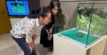 El MUPE expone por primera vez un fósil de una nueva especie de insecto única en el mundo