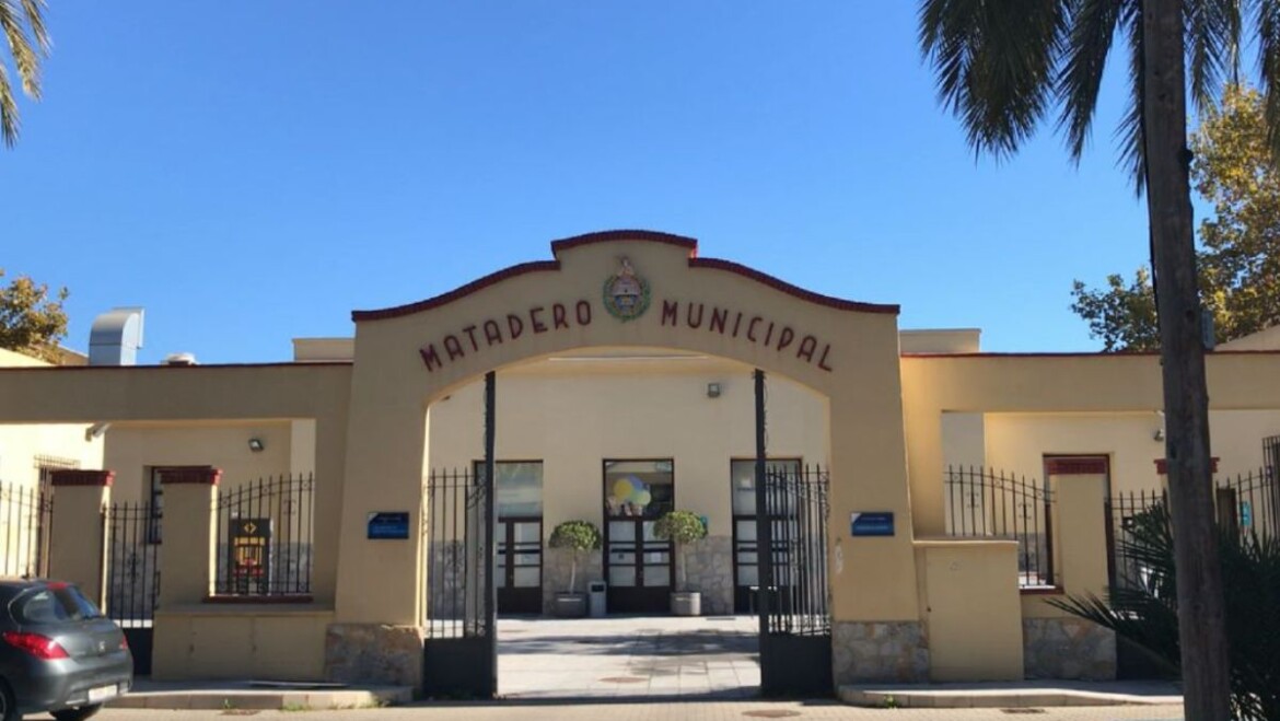 Tornen les Nits d’Estiu, la música, el cine i el teatre a la programació d’estiu de l’Escorxador