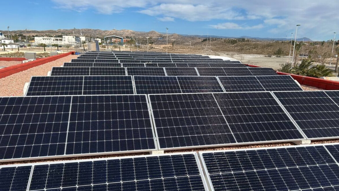 Luz verde del Consell a la regulación para la instalación de plantas fotovoltaicas en Elche