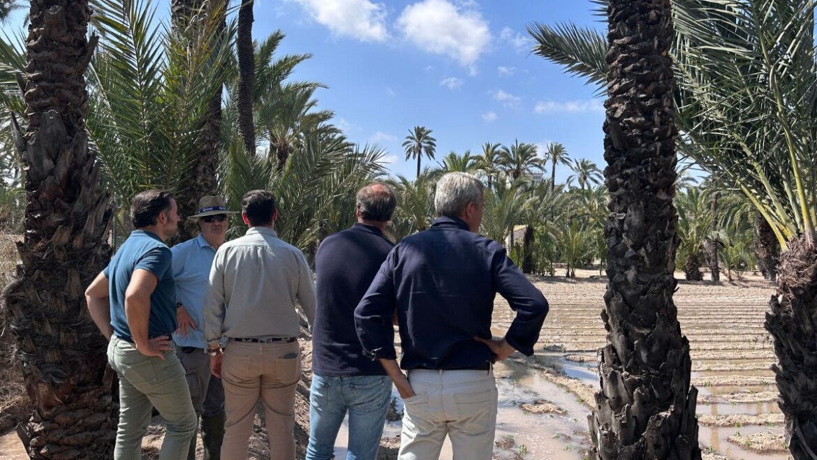 Comienza la plantación de tagetes en huertos históricos para su uso en la Batalla de las Flores