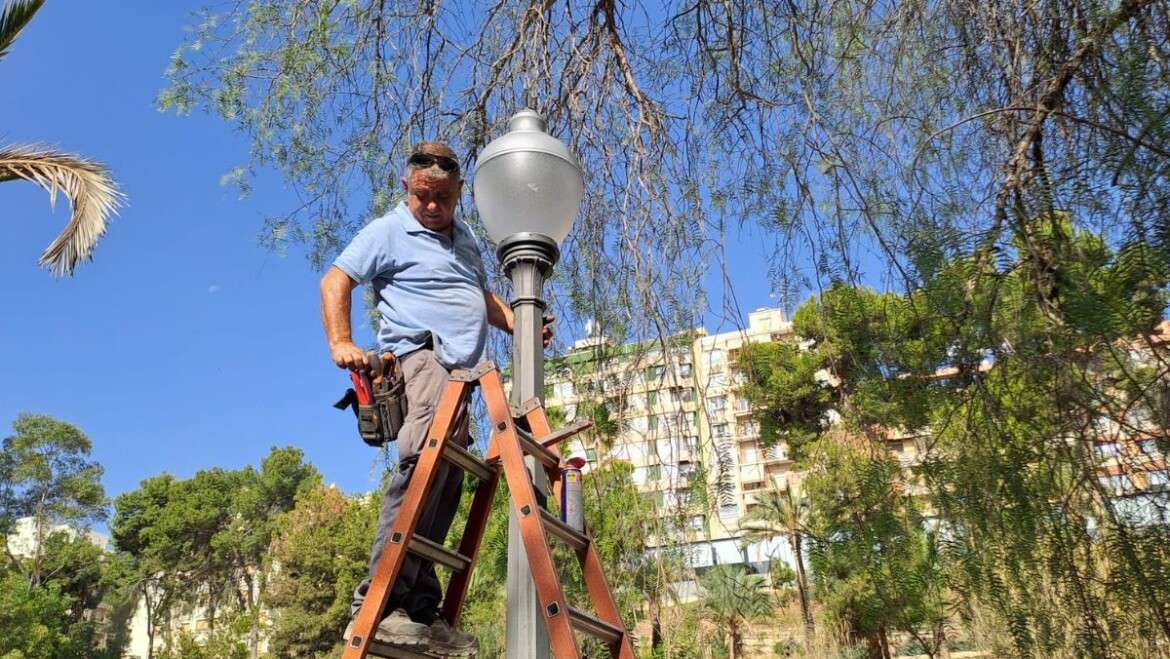 Elx preveu superar el milió d’euros d’estalvi amb el canvi a llum led quan finalitze la legislatura