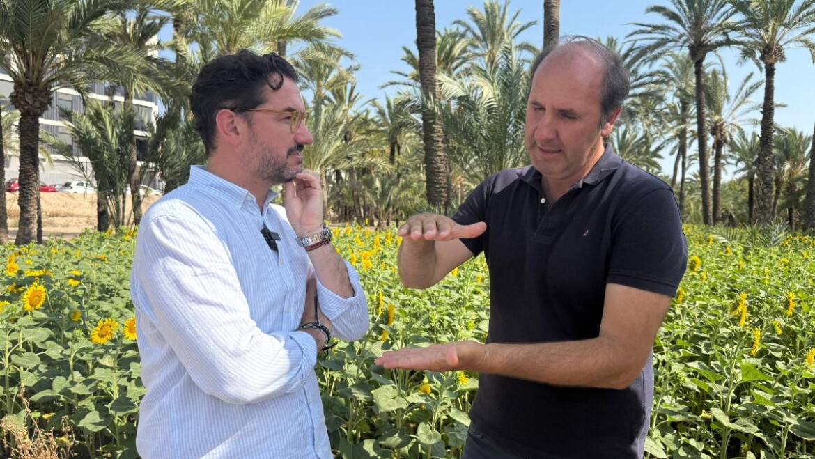 Continua la recuperació d’horts històrics amb la plantació de gira-sols a l’hort de Bon Lladre