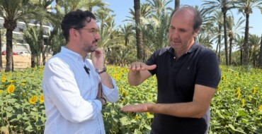 Continua la recuperació d’horts històrics amb la plantació de gira-sols a l’hort de Bon Lladre
