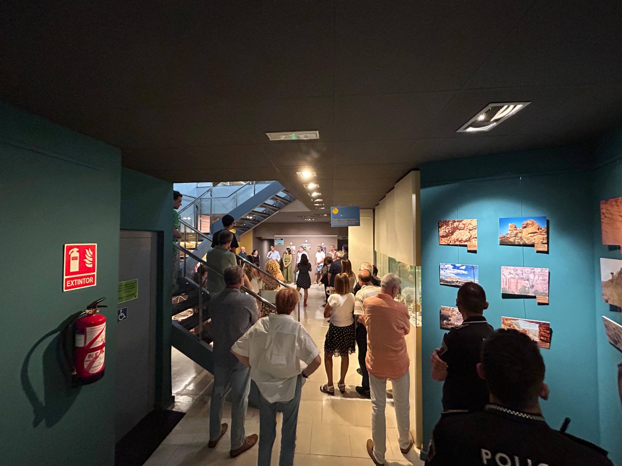 WhatsApp Image 2025-07-31 at 19.24.44