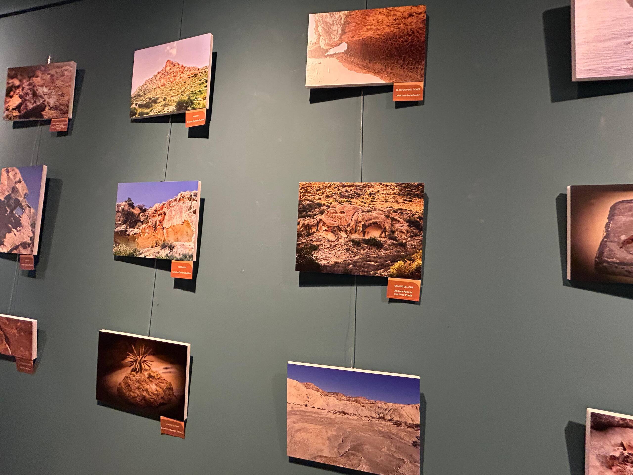 WhatsApp Image 2025-07-31 at 19.24.45