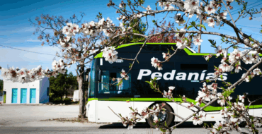 Elche alcanza cifras históricas en el servicio de autobús con más de 11,2 millones de usuarios