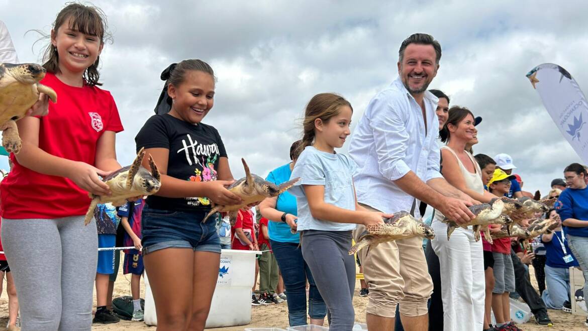 La playa de La Marina acoge la suelta de 36 tortugas bobas