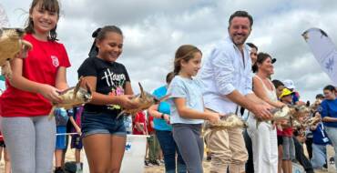 La playa de La Marina acoge la suelta de 36 tortugas bobas