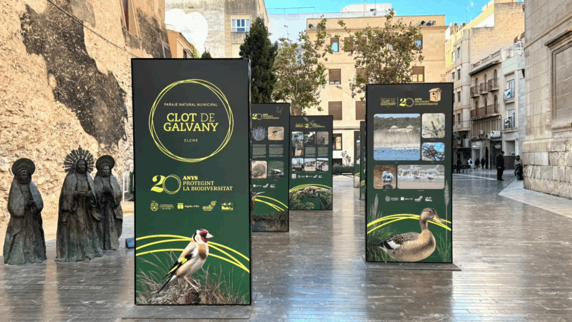 La Plaza Santa Isabel acoge una exposición sobre el Clot de Galvany