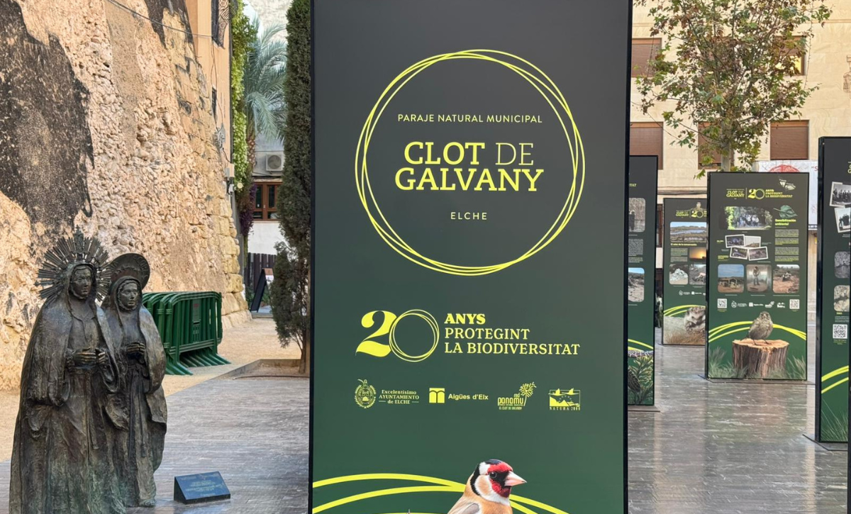 La Plaza Santa Isabel acoge una exposición sobre el Clot de Galvany (2)