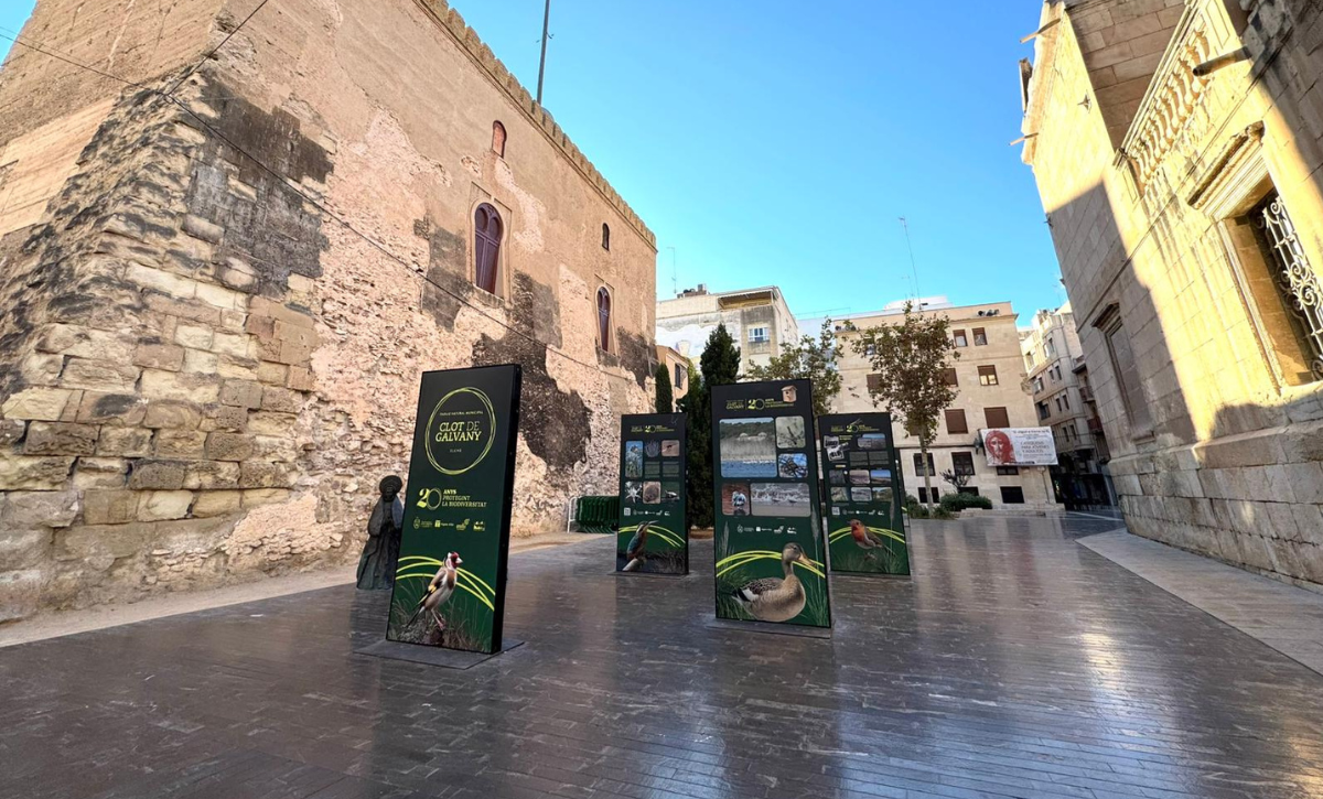 La Plaza Santa Isabel acoge una exposición sobre el Clot de Galvany (3)