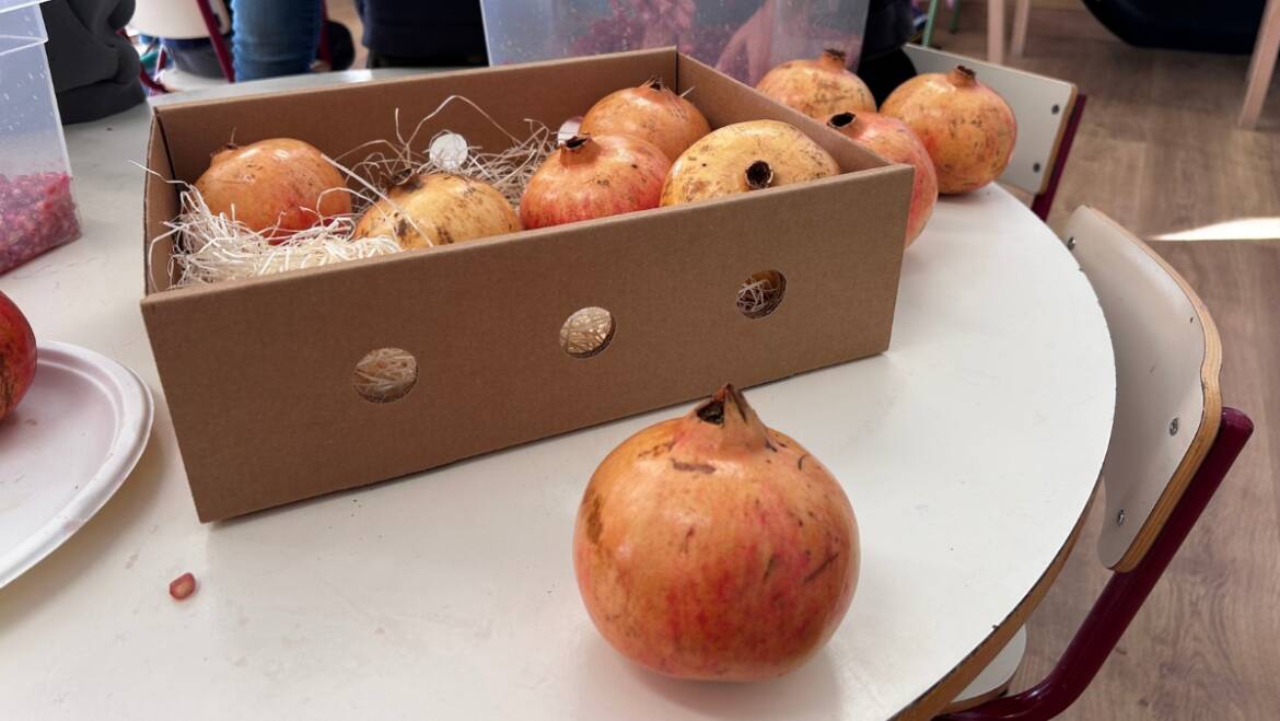 Una campaña escolar acerca la granada mollar de Elche a más de 800 alumnos de Infantil
