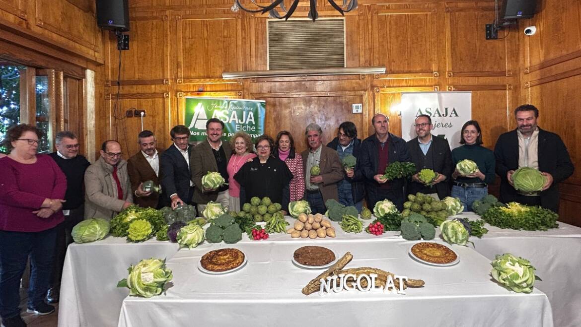 Elche bate el récord de producción de hortalizas de invierno con 24 millones de kilos