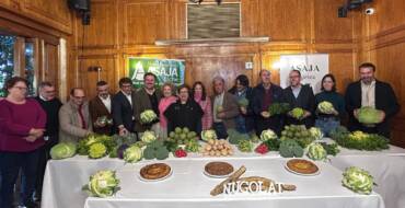 Elche bate el récord de producción de hortalizas de invierno con 24 millones de kilos