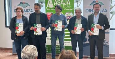 Elche confirma las sanciones a los vertidos ilegales en el Camp d’Elx