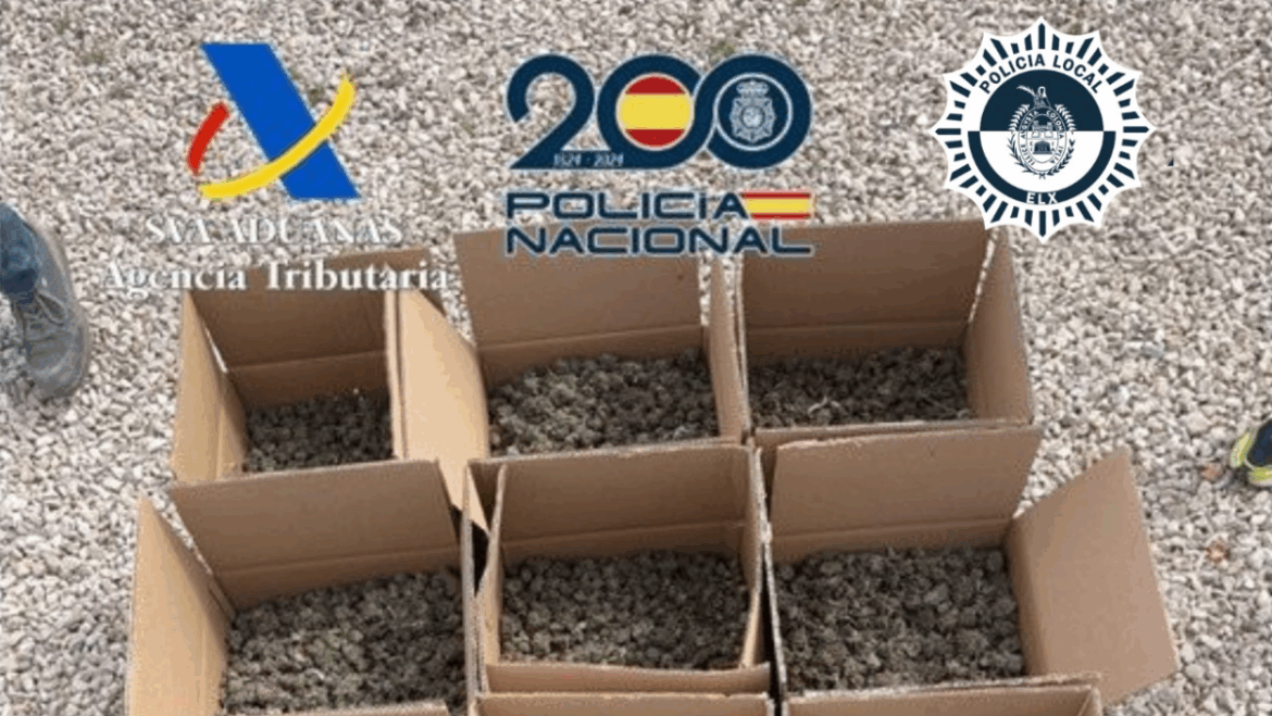 Desmantellen un cultiu indoor de marihuana a Elx